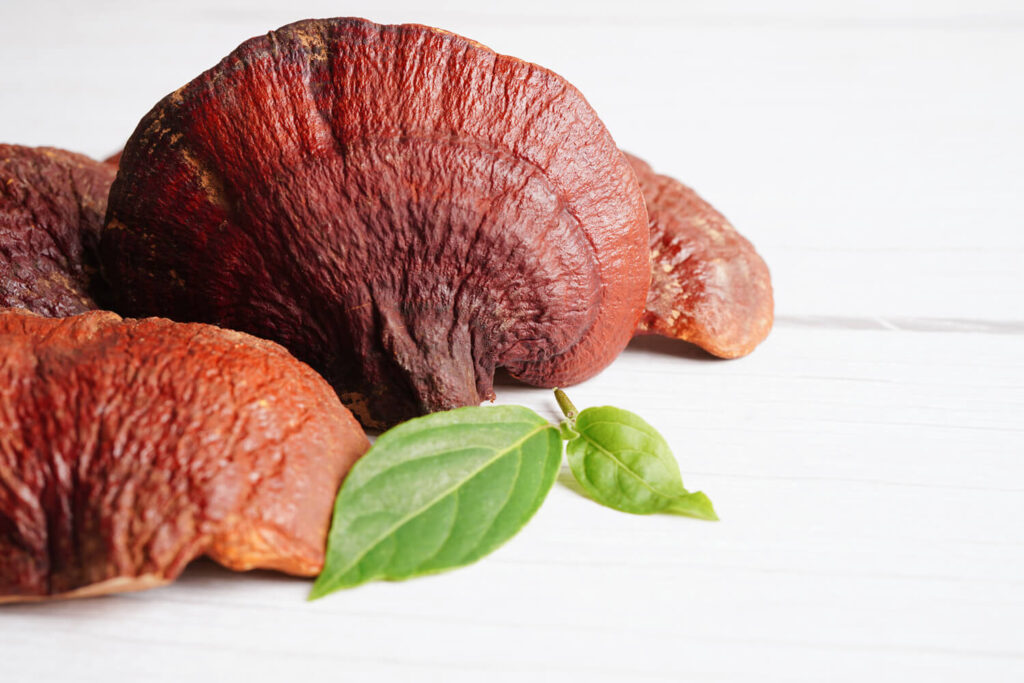 lingzhi-reishi-mushroom-with-capsules-organic-natural-healthy-food