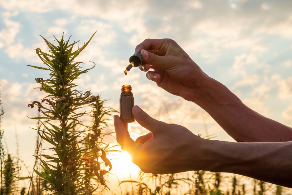 CBD Merchant Account 
