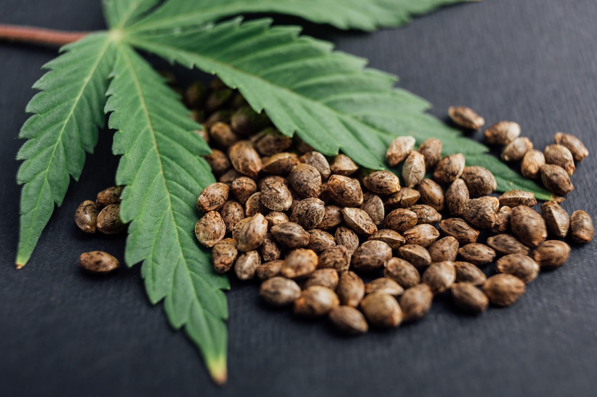 hemp-seeds